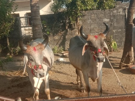 थंबनेल 2