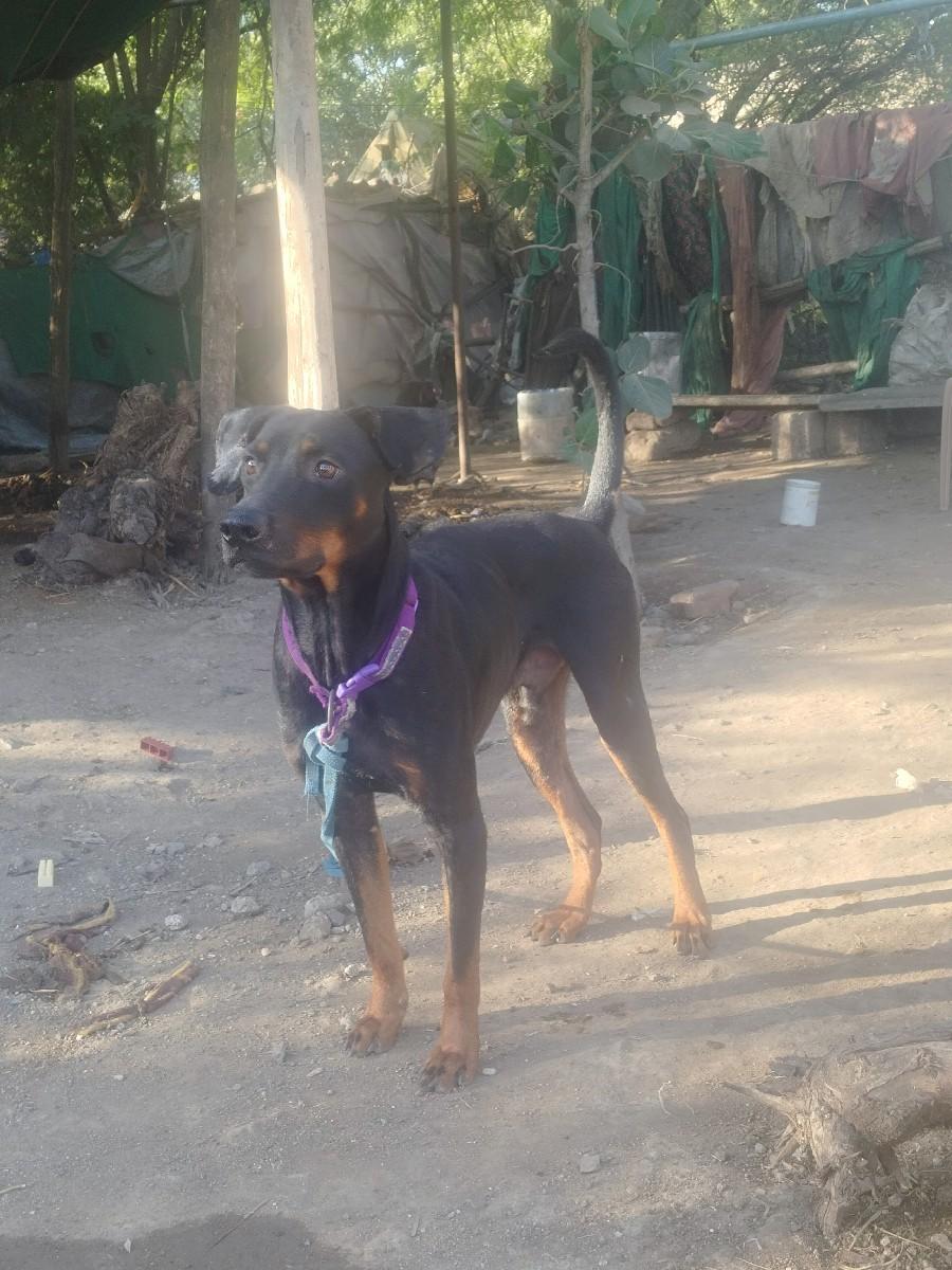 थंबनेल 2