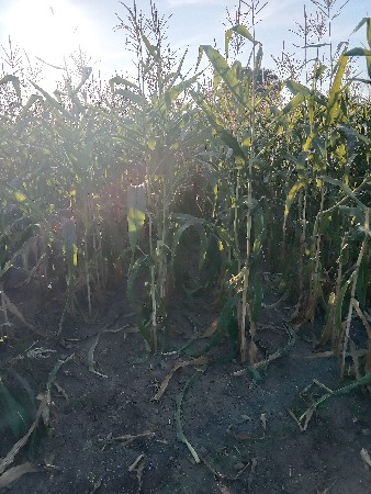 બેસવાનું છે