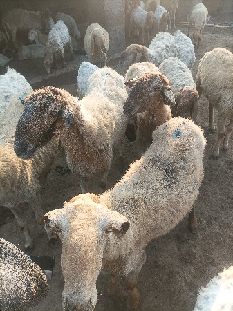 थंबनेल 2