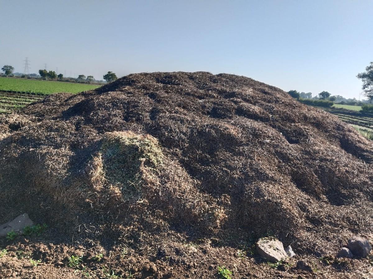 ભૂકો વેચવાનો છે