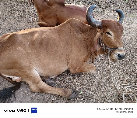 थंबनेल 2