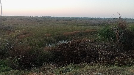 જમીન વેચવાની છે