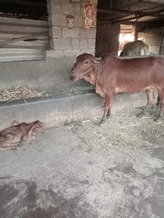 थंबनेल 2