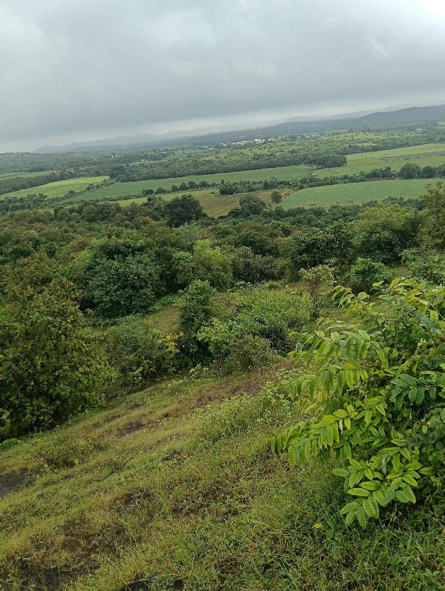 દેશી ખાતર વેચવાનું છે