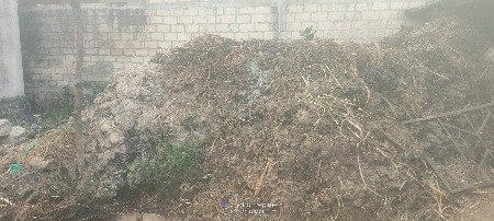 થંબનેલ 1