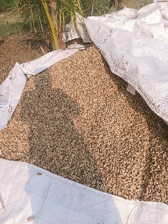 માંડવી વેચવાની છે