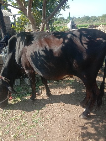 थंबनेल 2