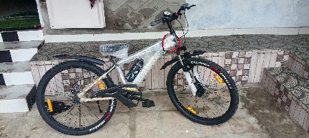 સાયકલ વેસવાની છે