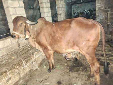 थंबनेल 2