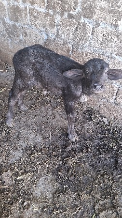 थंबनेल 1