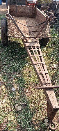 थंबनेल 3