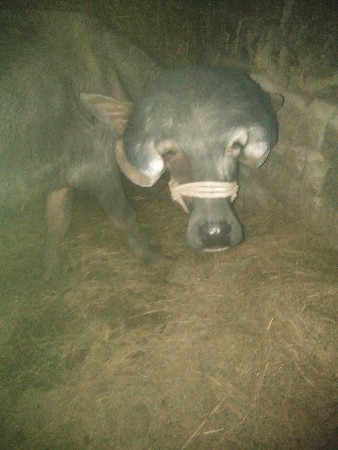 थंबनेल 2