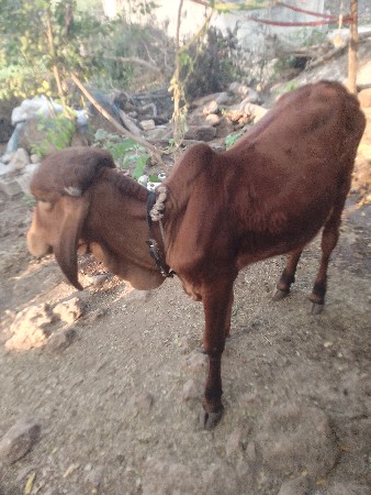 थंबनेल 3