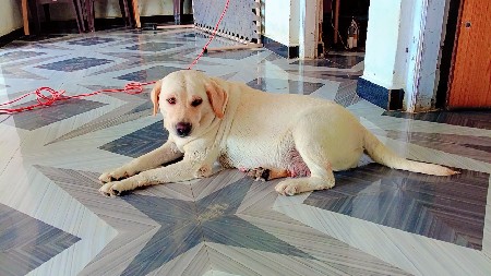 थंबनेल 3