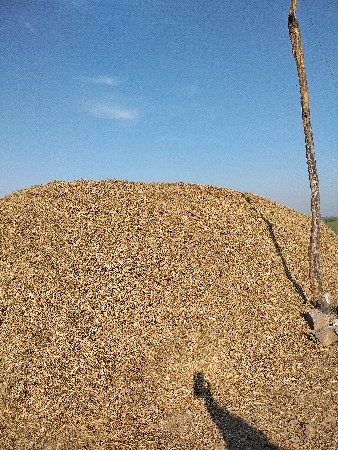 જે ૨૦ મઞફડી ભુકૉ વેચવાનૉ છે કોરો