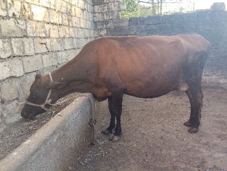 थंबनेल 2