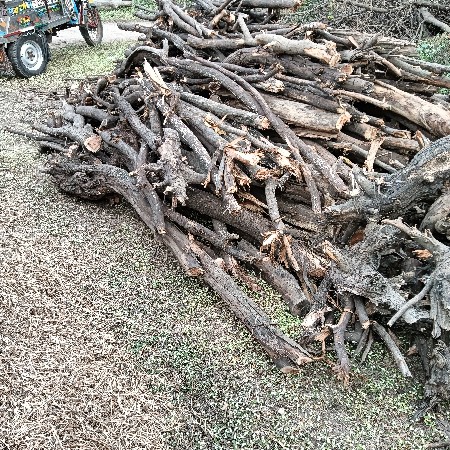 સુકેલા લાકડા વેચવાના છે