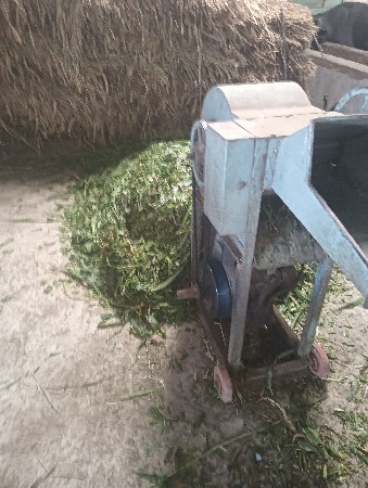 થંબનેલ 3