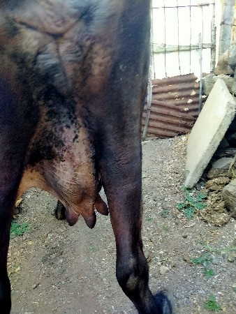 थंबनेल 2