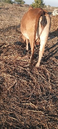 थंबनेल 3