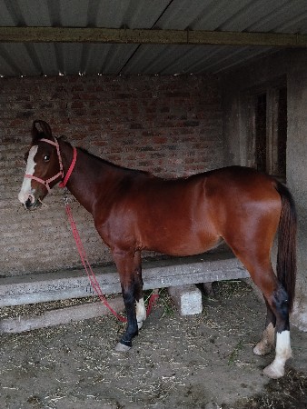 થંબનેલ 3