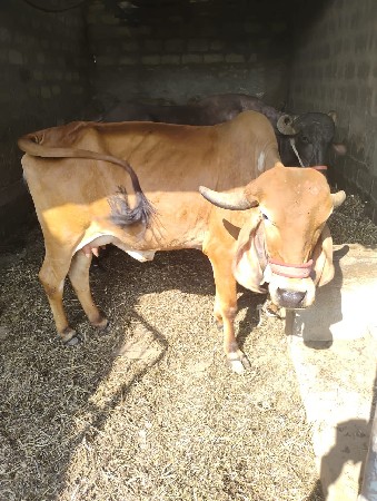 थंबनेल 2