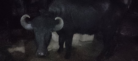 थंबनेल 1