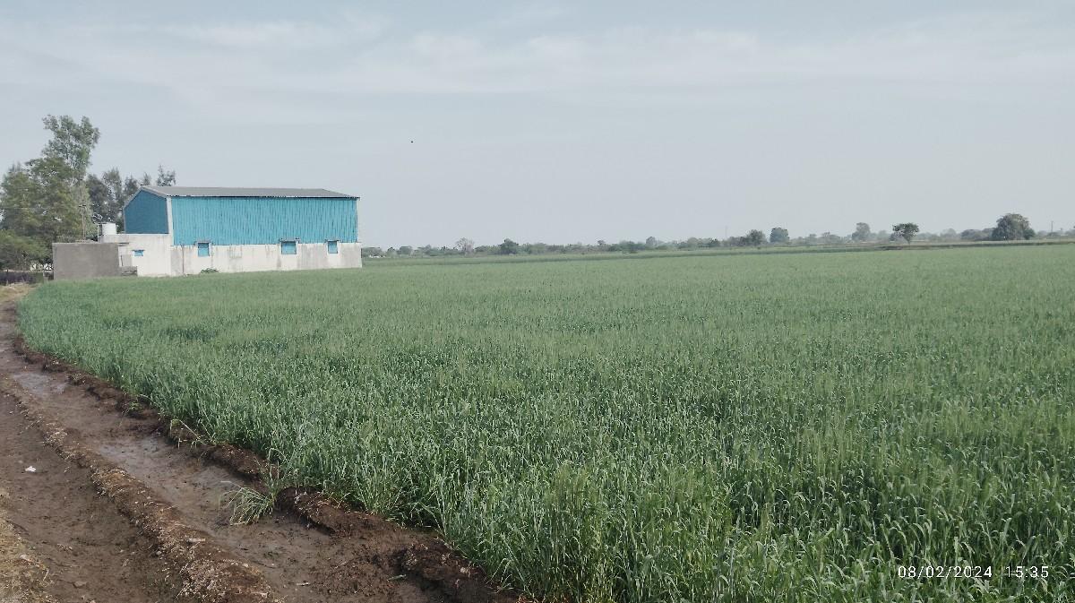 જમીન હાયવે ટસ 13.5 વીઘા વેચવાની છે