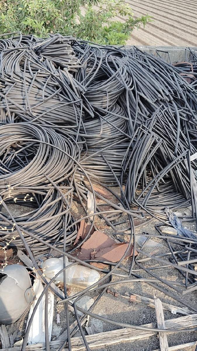 थंबनेल 1