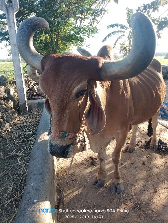 थंबनेल 3