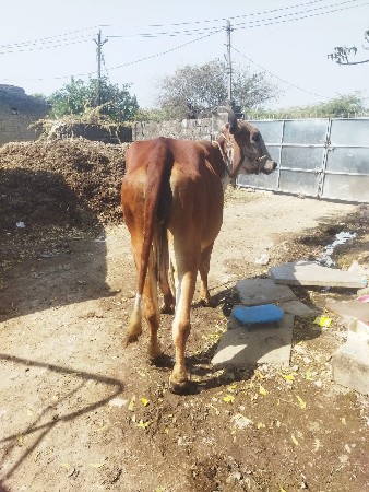 थंबनेल 2