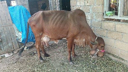 थंबनेल 2