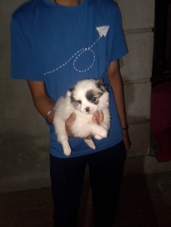 થંબનેલ 2