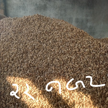 થંબનેલ 3