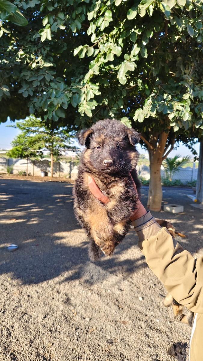 થંબનેલ 2