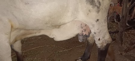 थंबनेल 2