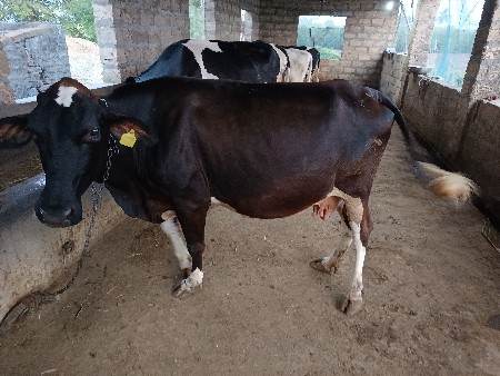 थंबनेल 3