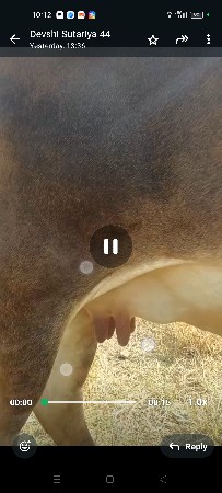 थंबनेल 2