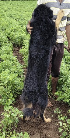 थंबनेल 2