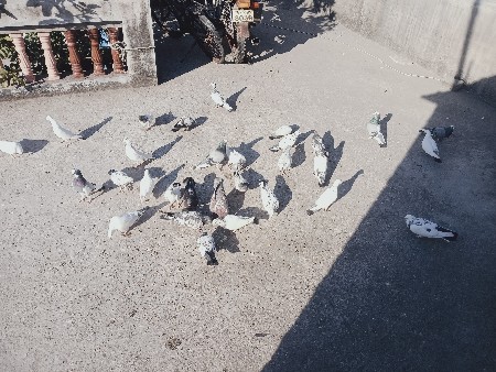 થંબનેલ 2