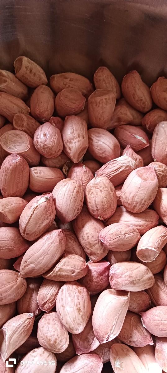 જી 45 મગફળી વેચવાની છે કોરી છે