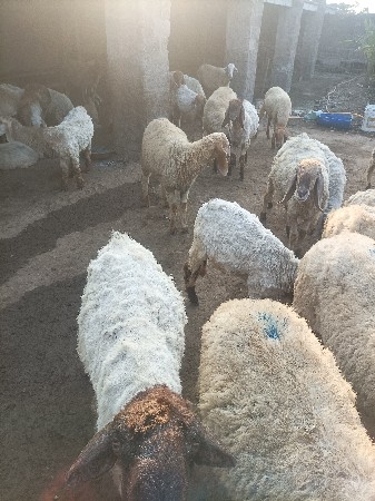 थंबनेल 3