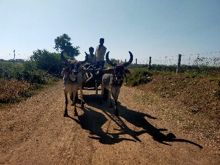 રોટલા વેચવાના ફુલ જવાબદારી