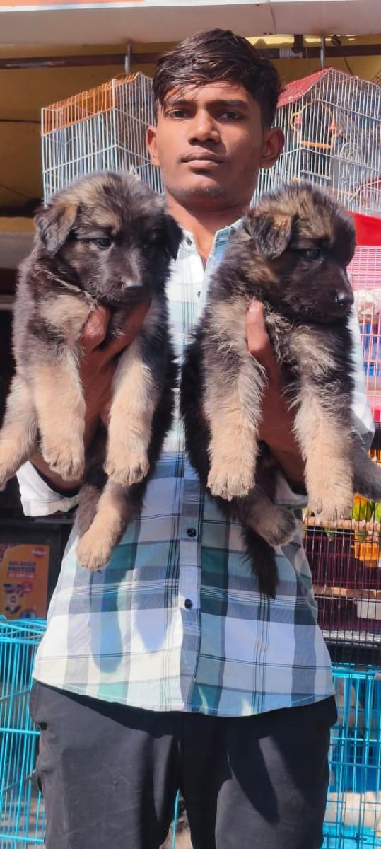 થંબનેલ 2