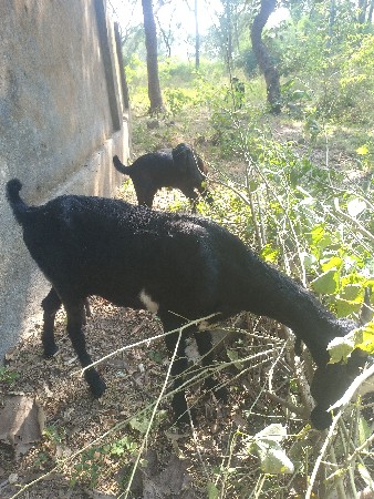 થંબનેલ 3