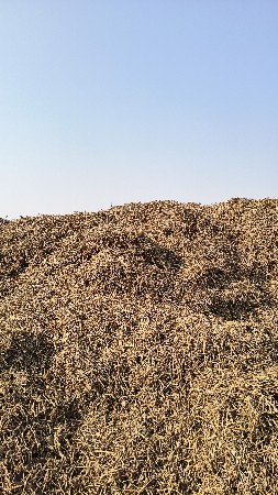 ભૂકો વેચવાનો છે મણ ના 70