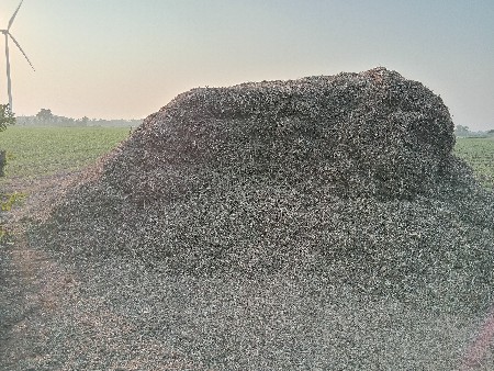 ભુકો વેચવાનો છે