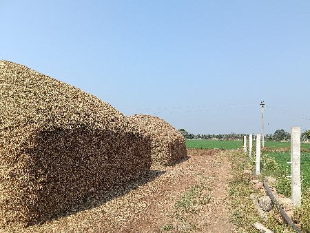 ચારોવેચવાનોછે.