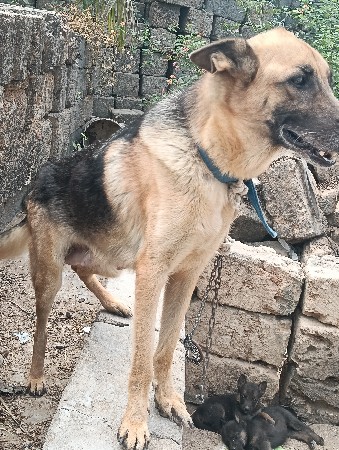 थंबनेल 2